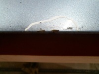 фото thumb №6, Ford focus mk 2 04-08 капот передняя z3