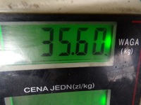 фото thumb №7, Peugeot 406 2.0 hdi 20dl11 коробка передач передач