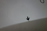 фото thumb №7, Капот renault kangoo ii 08-13 цвет - 369