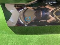 фото thumb №9, Mg 4 mg4 кришка багажника багажника задня задня