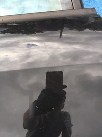 фото thumb №2, Renault scenic ii 03-09 двері праве перед