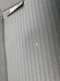 фото thumb №13, Renault twingo ii рестайлинг сиденья сиденье обшивки 3d