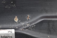 фото thumb №8, Pas передній підсилювач volvo xc90 1 i 2.4 d5 02-16