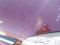 фото thumb №5, Капот almera tino 2004 цвет a31