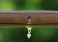 Подземный капельный трубопровод 16 мм каждые 33 см Rain Bird