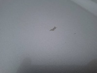 фото thumb №11, Kompletny перед капот бампер лампа chevrolet equinox i 04-09r wa231m