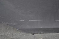 фото thumb №11, Volvo v40 ii двері правий задня задні повний