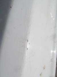 фото thumb №8, Renault clio ii storia campus 05-12 бампер задняя задний задний kol dv369 c408