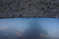 фото thumb №6, Бампер капот крыло kompletny перед vw passat b6