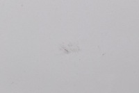 Капот крышка двигателя белый tesla model x 15-21 в Украине, фото thumb