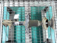 фото thumb №1, Амортизатор перед правий kia ceed i 06- 2,0crdi