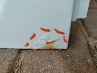 фото thumb №8, Двері задні ліва sprinter 906 niski