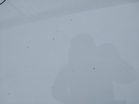 фото thumb №8, Капот ford ka ii mk2 цвет f9 lata 2008-2016