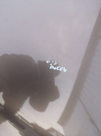 фото thumb №13, Капот крышка двигателя renault grand scenic iii цвет tecnb 08-12