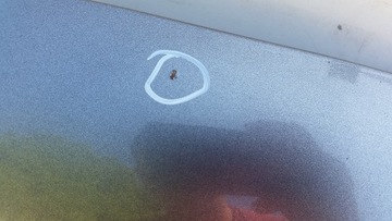 фото thumb №7, Капот перед kia picanto i рестайлінг 08-11r im