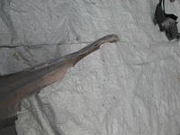 фото thumb №9, Honda crv ii 01-05 бампер задняя задний / 1950