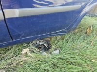 фото thumb №2, Renault scenic ii двері задня ліва задні dv460 ov460