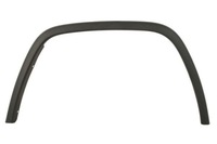 фото thumb №1, Молдинг накладка крыла 5703-08-3207371p blic