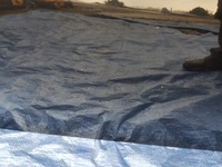 фото thumb №7, Двері праве mercedes slk r171 w171 c197 197