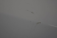 фото thumb №10, Opel corsa d крила правий перед z474 b2600