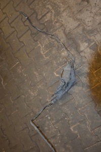 фото thumb №1, Audi a6 c5 fl фільтр вугільний 4b0201803c