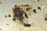 Гаситель средний труба mg zs 1.5 vti Доставка, фото thumb