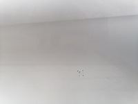 фото thumb №4, Дверь правый задняя seat leon ii l57y