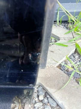 фото thumb №13, Двері правий перед audi a6 c6 рестайлінг чорні ly9b