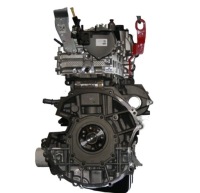 Двигатель ford transit 2.0 tdci ynf6 стойку новый Оригинал, фото thumb