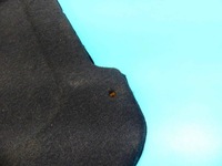 фото thumb №2, Полка задняя багажника peugeot 307 хэтчбек