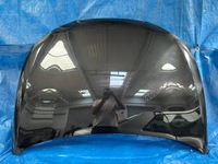 фото thumb №1, Seat ibiza 6j0 08-12 капот