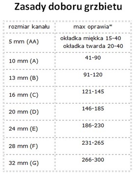 Бакалавриат, Кельцкий технологический университет