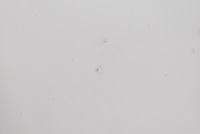 фото thumb №11, Дверь левая перед передние белый nissan leaf 1 i za0 lift 10-17