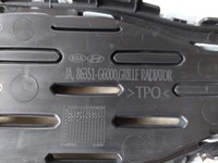 фото thumb №9, Решітка радіатора - решітка радіатора - satyna --- kia picanto iii - 2017