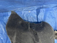 фото thumb №10, Підкрилок передні ліва renault austral