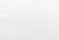 фото thumb №9, Двери левые зад задние swp kia ev6 21-