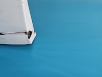 фото thumb №12, Двері задня ліва audi q5 8r 08-12 ly9c