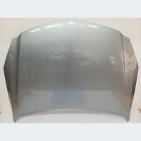 фото thumb №1, Капот opel insignia a z179