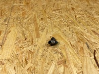 фото thumb №6, Датчик удара ударный audi a4 b9 a5 8w a6 c8 a7 4m0959651