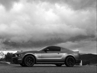 фото thumb №8, Жабры накладки na стекло цельные ford mustang 2010-2014