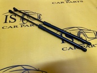 фото thumb №1, Комплект амортизатори задній кришки задня renault clio v