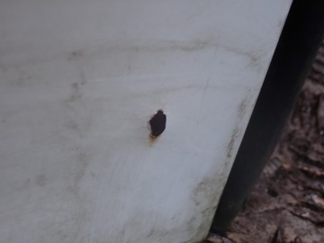 фото thumb №5, Fiat scudo i jumpy expert 96-07 двері зад ліві скло