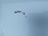 фото thumb №7, Капот audi a4 b7 2004-2008 cabriolet