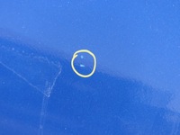 фото thumb №11, Двері перед правий передній правий terna renault scenic iii 3 короткий grand