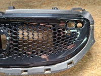 фото thumb №2, Smart forfour a453 решітка радіатора радіатора решітка радіатора