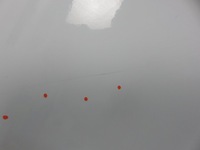 фото thumb №7, Дверь левая передние iveco daily vi фургон