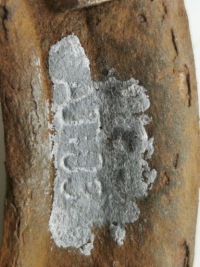 2004 mini one - cooper r50 - 53 гайка насоса топлива 6762417 Оригинал, фото thumb