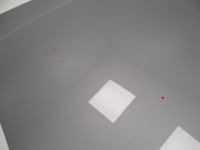 Ford kuga escape mk3 2020 - капот кришка двигуна alu в Україні, фото thumb