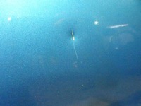 фото thumb №6, Дверь правое перед citroen c3 picasso kgwc