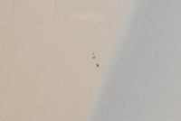 Капот кришка двигуна pbcw tesla model s 12-20 Зі Шроту, фото thumb